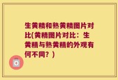 生黄精和熟黄精图片对比(黄精图片对比：生黄精与熟黄精的外观有何不同？)