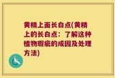 黄精上面长白点(黄精上的长白点：了解这种植物瑕疵的成因及处理方法)