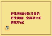 野生黄精珍贵(珍贵的野生黄精：宝藏草中的稀世珍品)