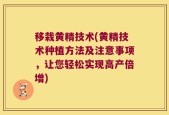 移栽黄精技术(黄精技术种植方法及注意事项，让您轻松实现高产倍增)