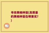 寻找黄精种苗(高质量的黄精种苗在哪里买？)