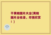 干黄精图片大全(黄精图片全收录，尽情欣赏！)