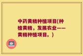 中药黄精种植项目(种植黄精，发展农业——黄精种植项目。)