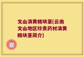 文山滇黄精块茎(云南文山地区珍贵药材滇黄精块茎简介)