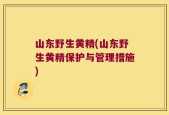 山东野生黄精(山东野生黄精保护与管理措施)