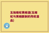 五独蝮蛇黄精酒(五蝮蛇与黄精酿制的传统酒品)