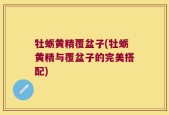 牡蛎黄精覆盆子(牡蛎黄精与覆盆子的完美搭配)