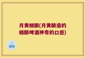 月黄精酿(月黄酿造的精酿啤酒神奇的口感)