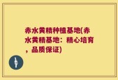 赤水黄精种植基地(赤水黄精基地：精心培育，品质保证)