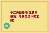 中江黄精基地(江黄精基地：寻找传统中药宝藏)