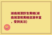 湖南湘潭野生黄精(湖南湘潭现黄精资源丰富，受到关注)
