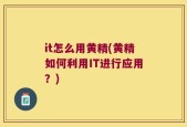 it怎么用黄精(黄精如何利用IT进行应用？)