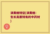 滇黄精特征(滇黄精：生长高原特有的中药材)