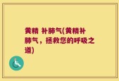 黄精 补肺气(黄精补肺气，拯救您的呼吸之道)