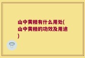 山中黄精有什么用处(山中黄精的功效及用途)