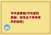 岑巩县黄精(岑巩县的黄精：探寻这个神奇草药的秘密)