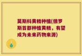 莫斯科黄精种植(俄罗斯首都种植黄精，有望成为未来药物来源)