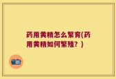 药用黄精怎么繁育(药用黄精如何繁殖？)