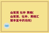 山茱萸 杜仲 黄精(山茱萸、杜仲、黄精汇聚丰富中药功效)