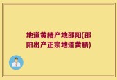 地道黄精产地邵阳(邵阳出产正宗地道黄精)