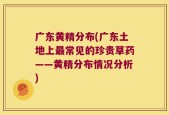 广东黄精分布(广东土地上最常见的珍贵草药——黄精分布情况分析)