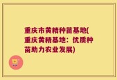 重庆市黄精种苗基地(重庆黄精基地：优质种苗助力农业发展)