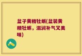 盆子黄精牡蛎(盆装黄精牡蛎，滋润补气又美味)