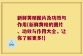新鲜黄精图片及功效与作用(新鲜黄精的图片、功效与作用大全，让你了解更多!)