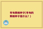 寻甸黄精种子(寻甸的黄精种子是什么？)