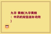 九华 黄精(九华黄精：中药的双倍滋补功效)