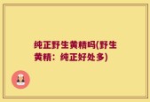 纯正野生黄精吗(野生黄精：纯正好处多)