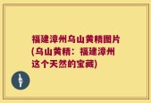 福建漳州乌山黄精图片(乌山黄精：福建漳州这个天然的宝藏)
