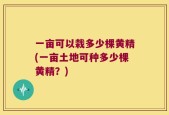 一亩可以栽多少棵黄精(一亩土地可种多少棵黄精？)