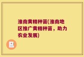 淮南黄精种苗(淮南地区推广黄精种苗，助力农业发展)