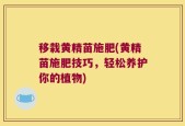 移栽黄精苗施肥(黄精苗施肥技巧，轻松养护你的植物)