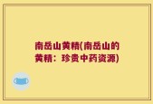 南岳山黄精(南岳山的黄精：珍贵中药资源)