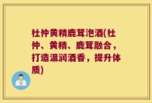 杜仲黄精鹿茸泡酒(杜仲、黄精、鹿茸融合，打造温润酒香，提升体质)