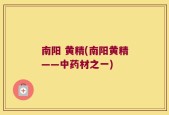 南阳 黄精(南阳黄精——中药材之一)