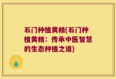石门种植黄精(石门种植黄精：传承中医智慧的生态种植之道)
