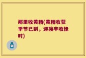 那里收黄精(黄精收获季节已到，迎接丰收佳时)