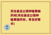 天柱县远口镇种植黄精药材(天柱县远口镇种植黄精药材，养生好帮手)
