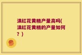 滇红花黄精产量高吗(滇红花黄精的产量如何？)