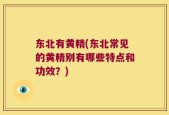 东北有黄精(东北常见的黄精别有哪些特点和功效？)