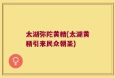 太湖弥陀黄精(太湖黄精引来民众朝圣)