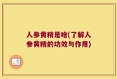 人参黄精是啥(了解人参黄精的功效与作用)