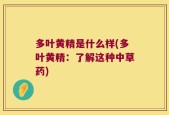 多叶黄精是什么样(多叶黄精：了解这种中草药)