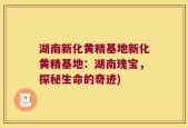 湖南新化黄精基地新化黄精基地：湖南瑰宝，探秘生命的奇迹)