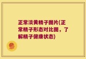 正常淡黄精子图片(正常精子形态对比图，了解精子健康状态)