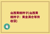 山西黄精种子(山西黄精种子：黄金满仓等待收获)