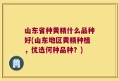 山东省种黄精什么品种好(山东地区黄精种植，优选何种品种？)